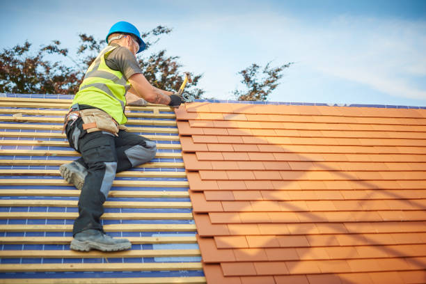 Best Roof Moss and Algae Removal  in Pine Ridge, SD